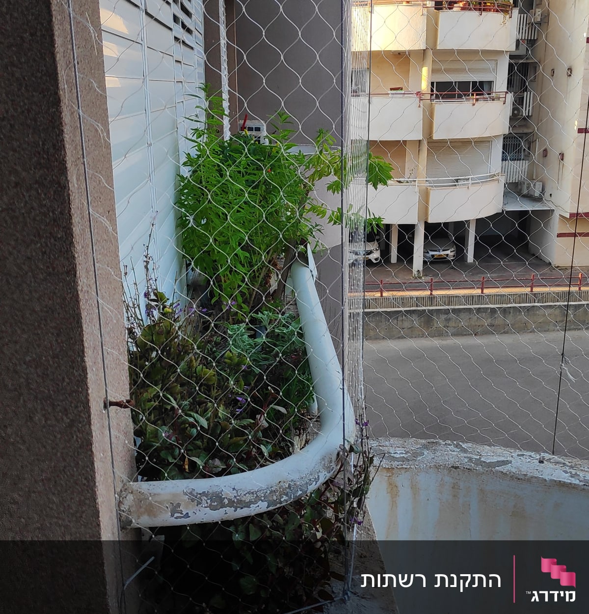 רשת למניעת כניסת יונים על אדן חלון